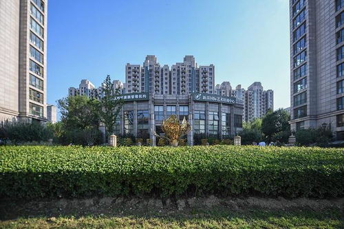 去年总价过亿豪宅成交48套,你知道国内的高端住宅都在哪吗