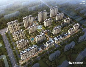 首次发布德州各房地产开发企业及楼盘2018年度销售业绩排名,及各区县销冠楼盘