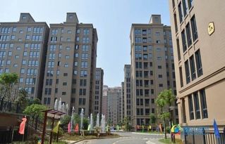房地产代理是什么意思啊