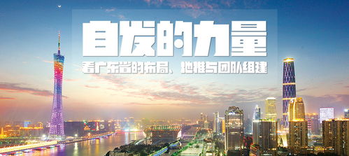 自发的力量 看广东省的布局 地推与团队组建