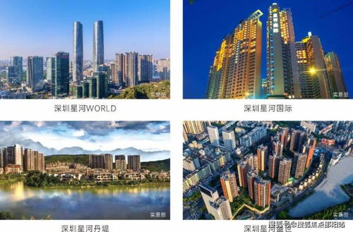 星河星悦云邸 营销中心 网站 星河星悦云邸 欢迎您 楼盘详情 营销中心