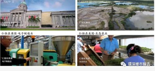 仁恒公园世纪 深圳 仁恒公园世纪 仁恒公园世纪售楼处欢迎您丨楼盘位置详情